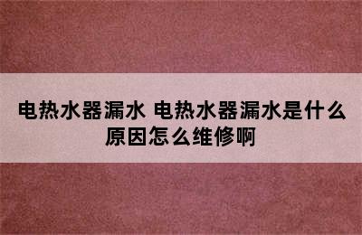 电热水器漏水 电热水器漏水是什么原因怎么维修啊